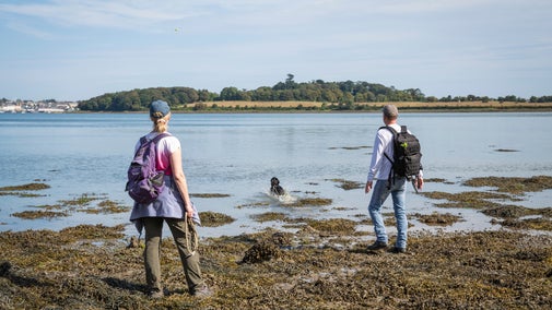 Couple exploring Castle Ward in Summer